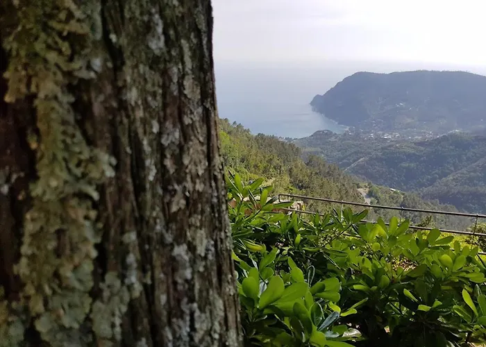 Santuario Ns Soviore Cinque Terre