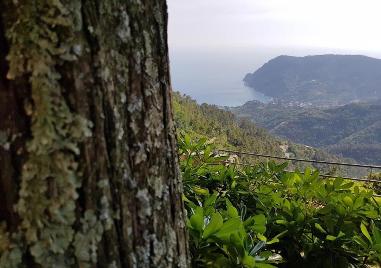 Santuario Ns Soviore Cinque Terre *